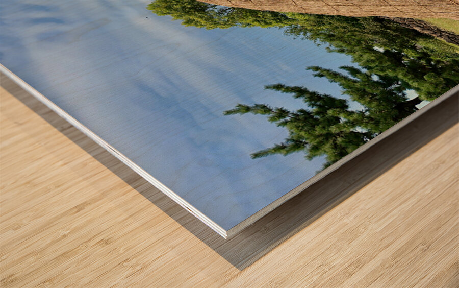 Traditional Village Hut Jeju South Korea 1 Wood print