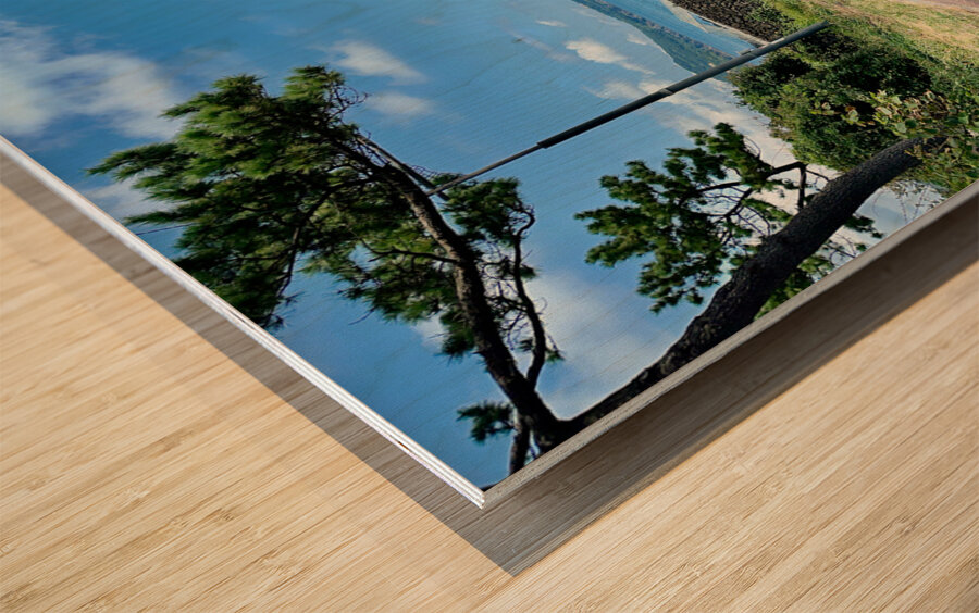 The Way Jeju South Korea Wood print