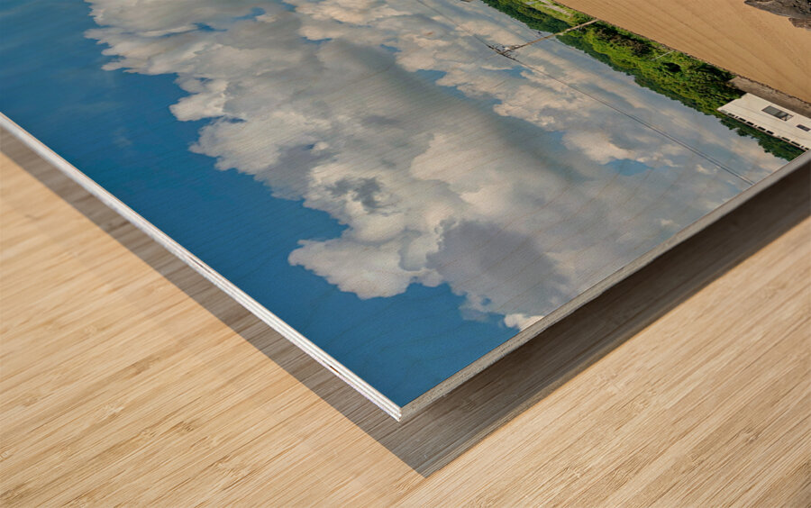 East Coast Jeju South Korea 1 Wood print