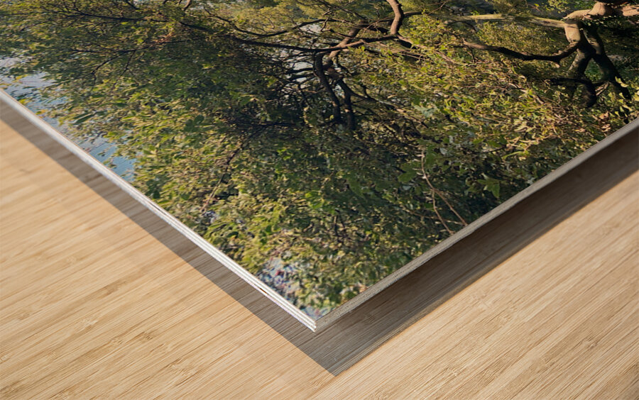 Around Jeju City South Korea 8 Wood print