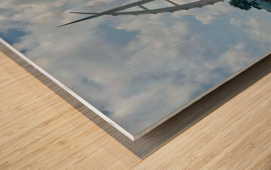 Seogwipo Jeju South Korea 6 Wood print