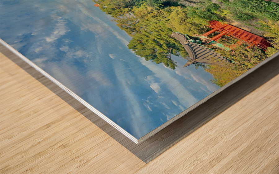 Around Jeju City South Korea 7 Wood print