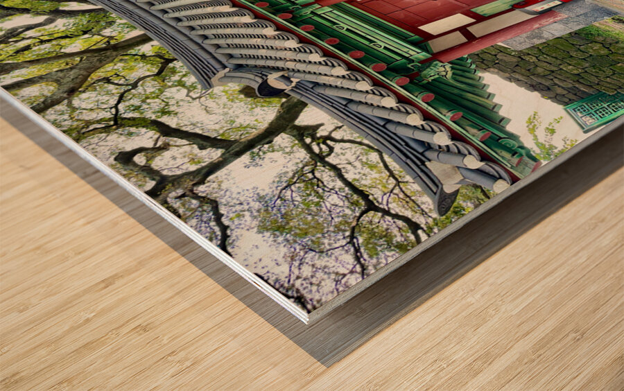 Around Jeju City South Korea 3 Wood print