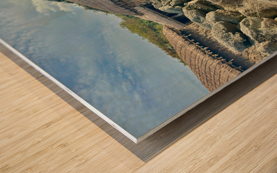 Stone Park Jeju South Korea 3 Impression sur bois