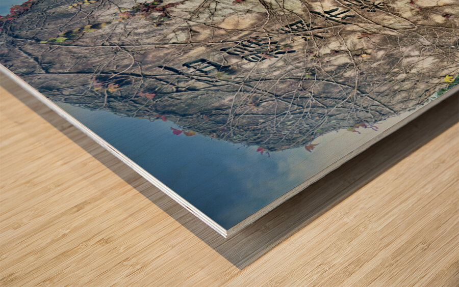 Stone Park Jeju South Korea 9 Wood print