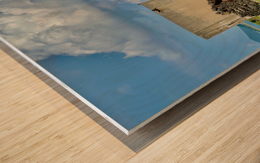 Seopjikoji Jeju South Korea 2 Wood print