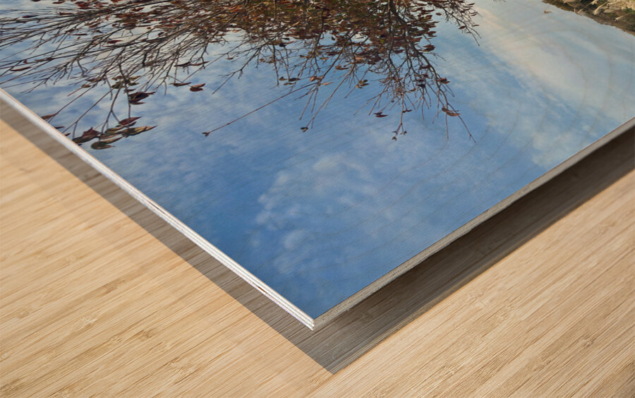 Stone Park Jeju South Korea 6 Wood print