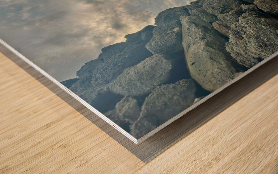 Stone Park Jeju South Korea 7 Wood print