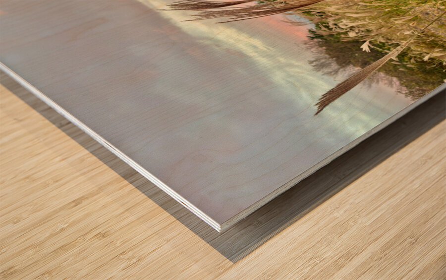 Stone Park Jeju South Korea 10 Wood print