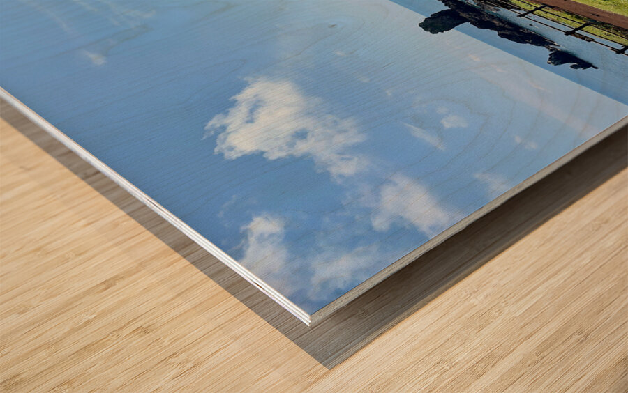 Seopjikoji Jeju South Korea 4 Wood print