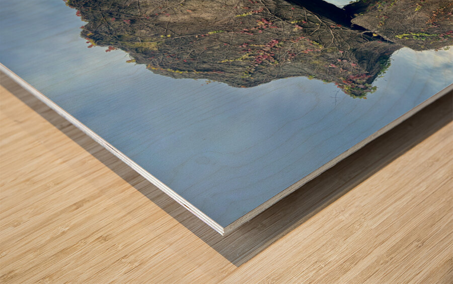 Stone Park Jeju South Korea 8 Wood print