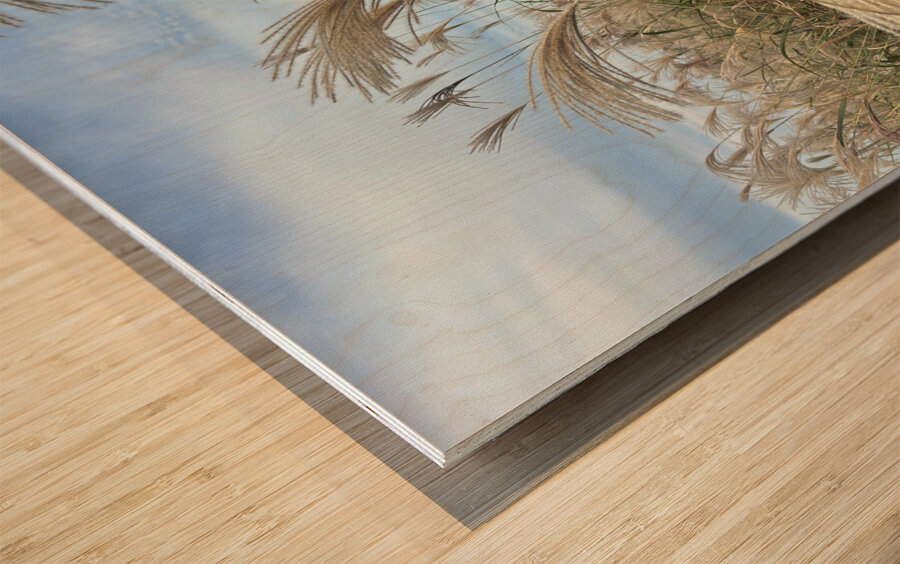 Stone Park Jeju South Korea 1 Wood print