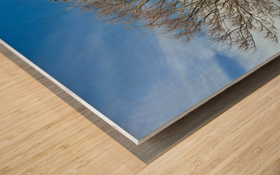 Stone Park Jeju South Korea 5 Wood print