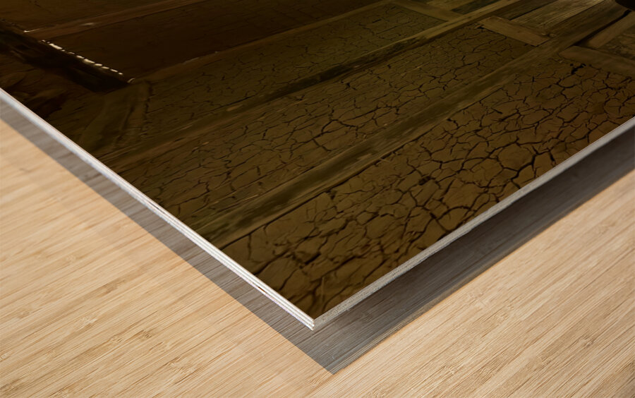 Stone Park Jeju South Korea 4 Wood print