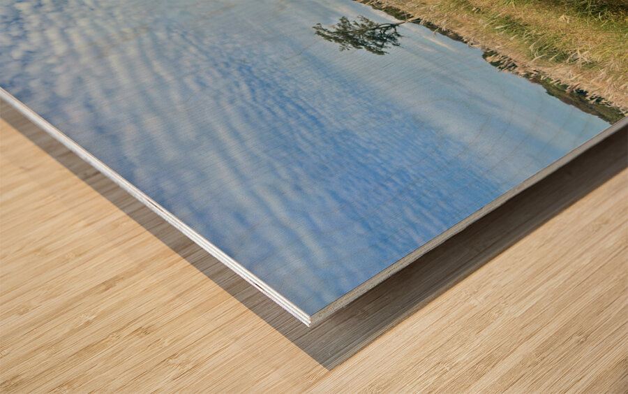 Stone Park Jeju South Korea 2 Wood print