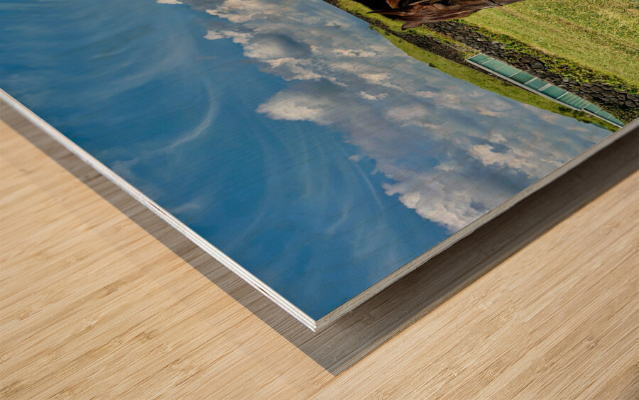 Seopjikoji Jeju South Korea 3 Wood print