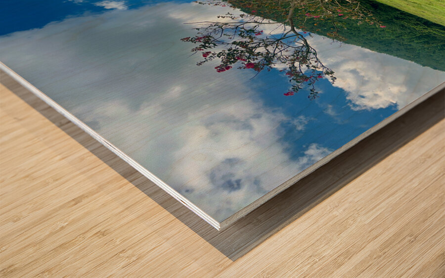 The Tree Jeju South Korea Wood print