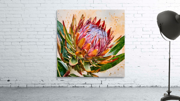 Protea Wall Preview
