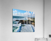 Oregon Coast Acrylic Print