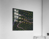 Creek Camping Acrylic Print