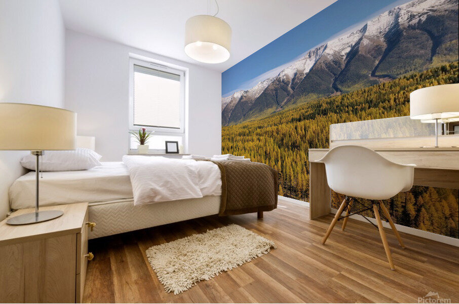 Golden Tammaracks Mural print