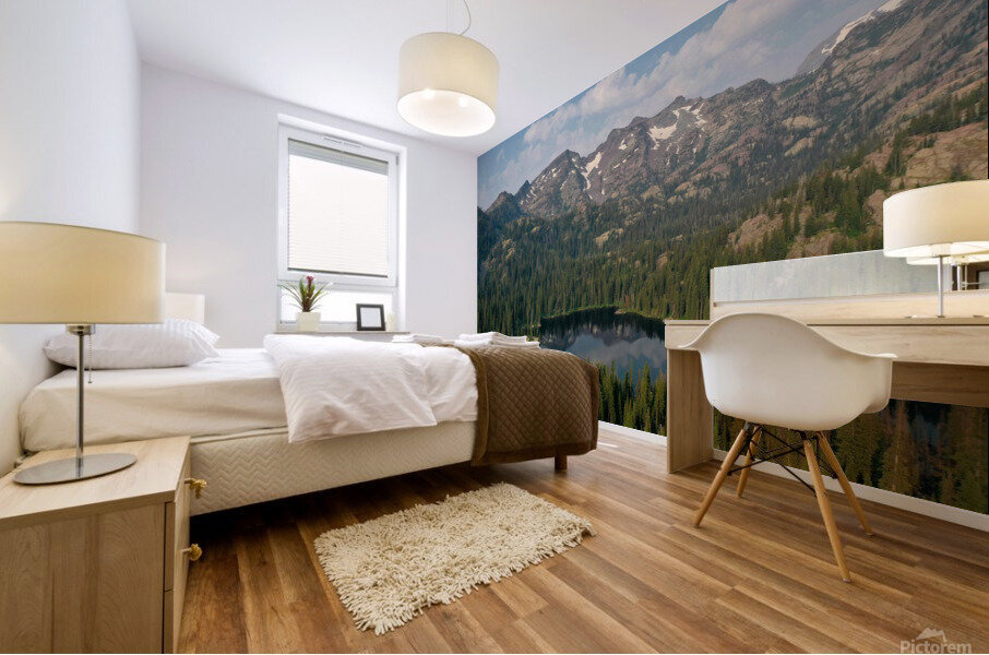 Crescent Lake Mural print