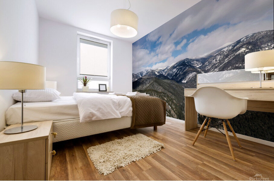 Snowbowl Mural print