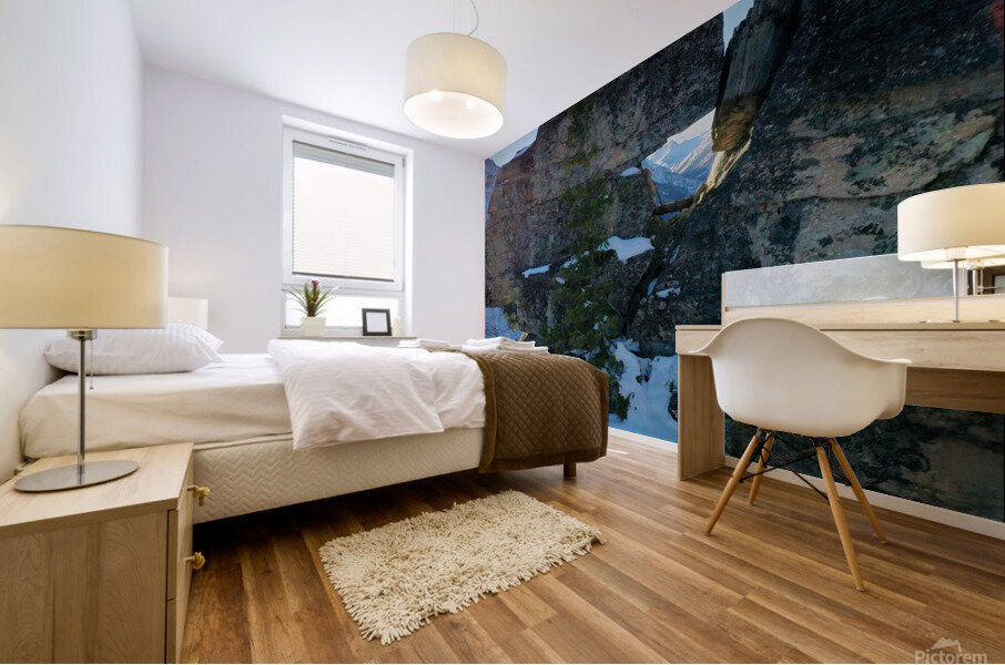 Blodgett Canyon Mural print