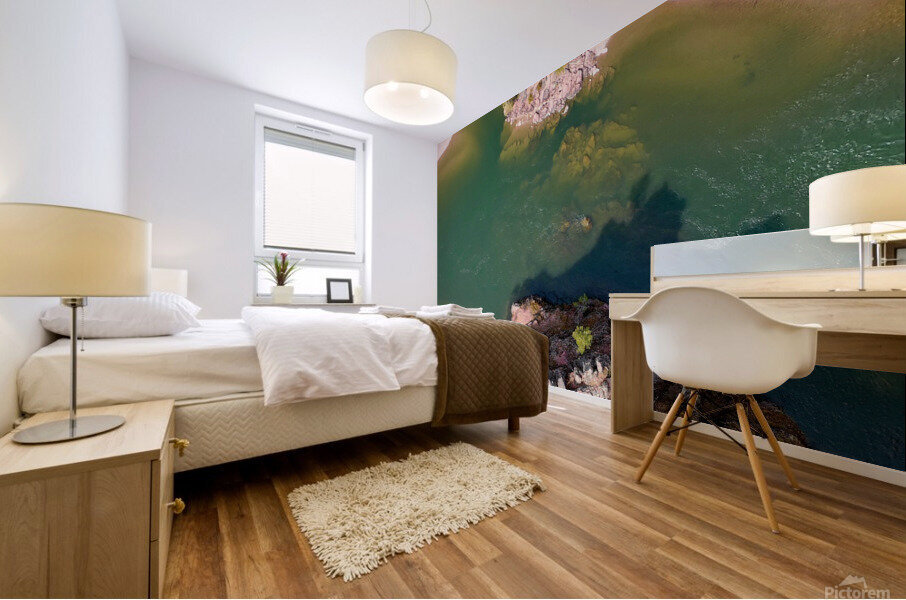 Blackfoot River  Mural print