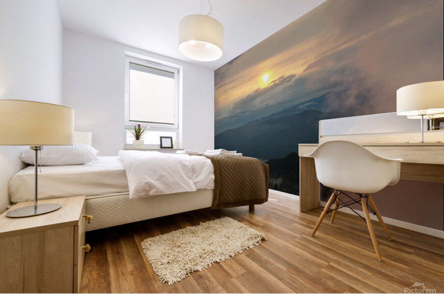 Point Six Mural print