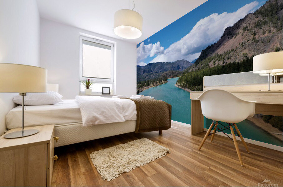 Flathead River Mural print