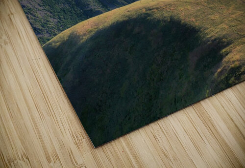 Mt. Jumbo Flying Kobrah puzzle
