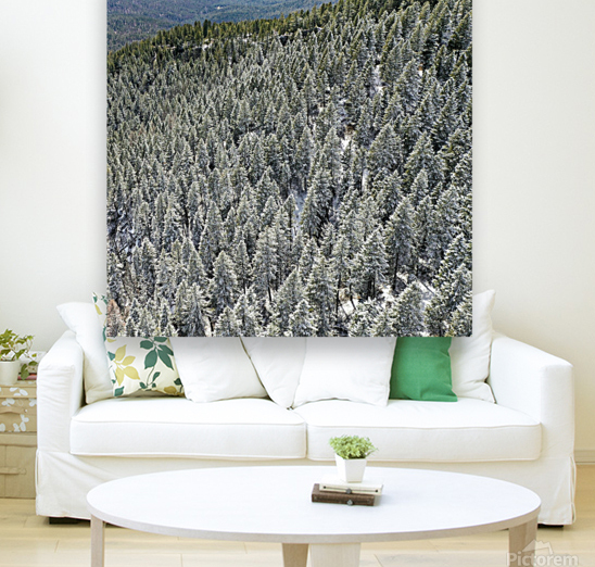 Frosted Pines Reproduction