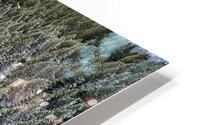 Frosted Pines HD Metal print