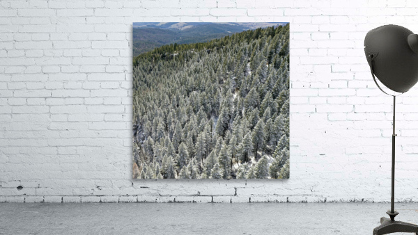 Frosted Pines Wall Preview