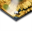Sunflower Boutique Acrylic print