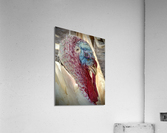 Tom Wolfgang Acrylic Print