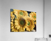 Sunflower Boutique Acrylic Print