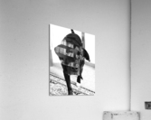 Ottis Stare Acrylic Print