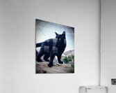 IMG 3653 Acrylic Print