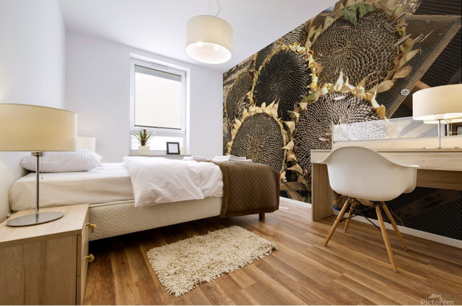 Seed heads Mural print