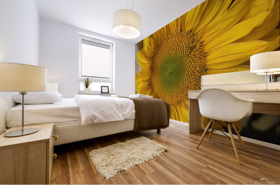 Sunflower Surreal Mural print