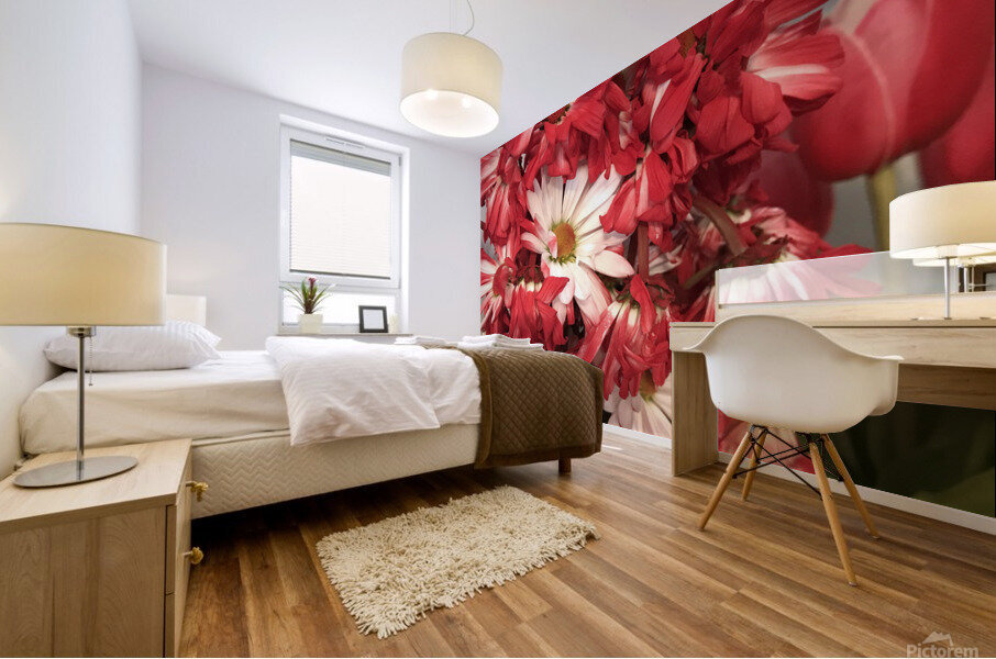 Red Daisy Mural print