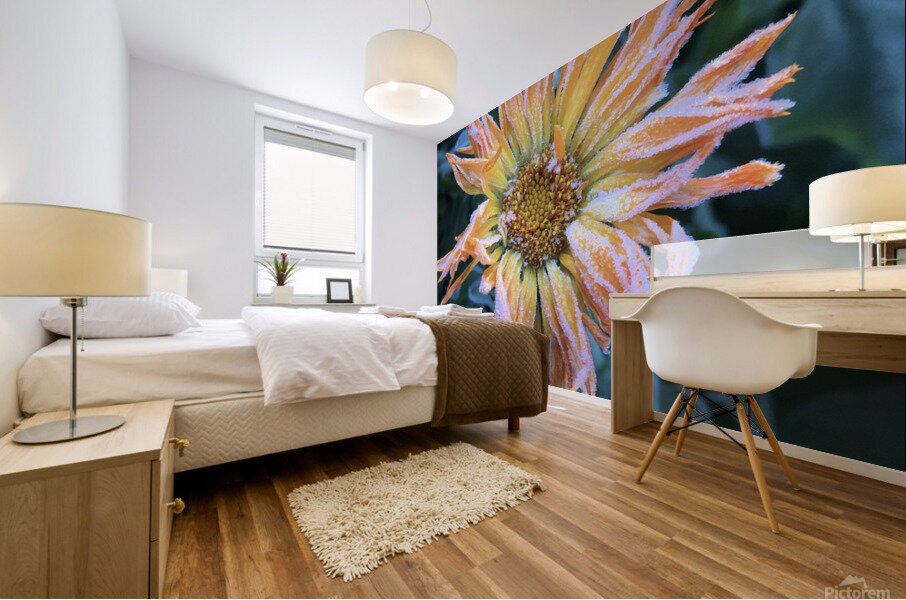 Frosted Calendula Mural print