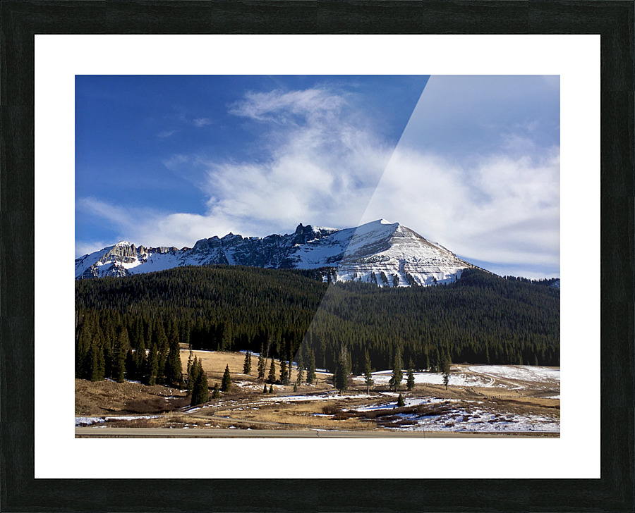 Lizard head pass Picture Frame print