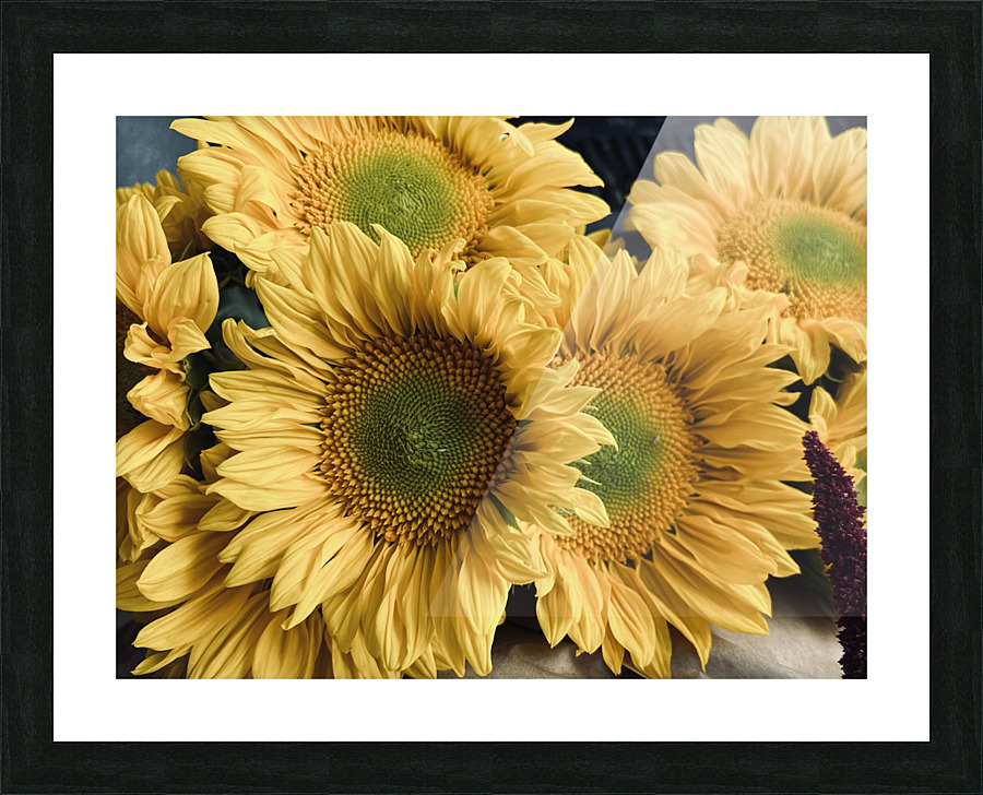 Sunflower Boutique Picture Frame print