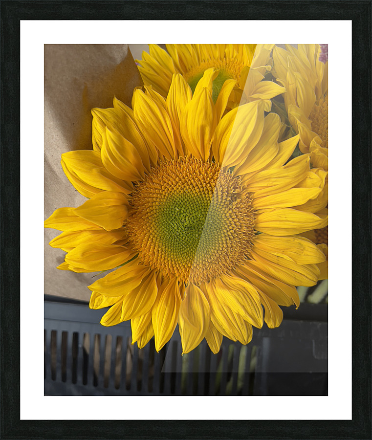 Sunflower Surreal Picture Frame print