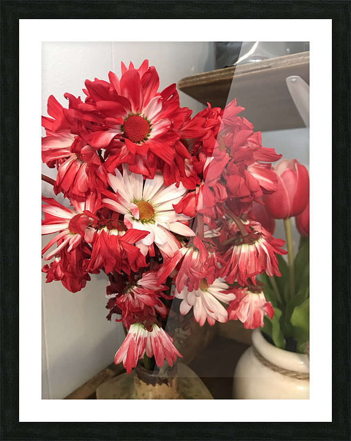 Red Daisy Picture Frame print