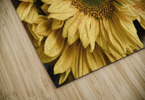 Sunflower Boutique Derek Udy puzzle