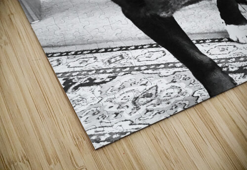Ottis Stare Derek Udy puzzle